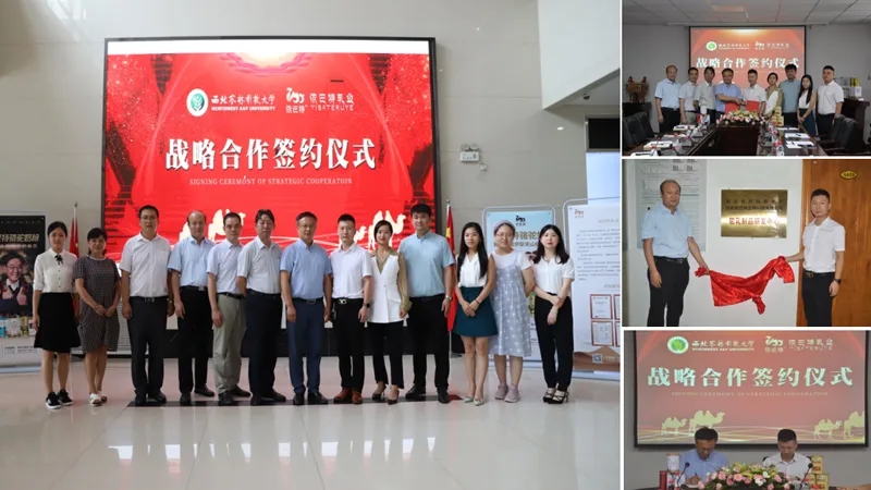 In August 2020, it signed a strategic partnership with Northwest Agriculture and Forestry University