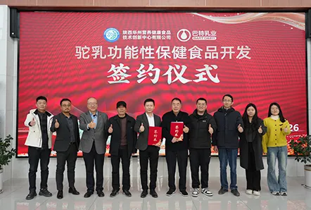 R&D (Research and Development) Advantages