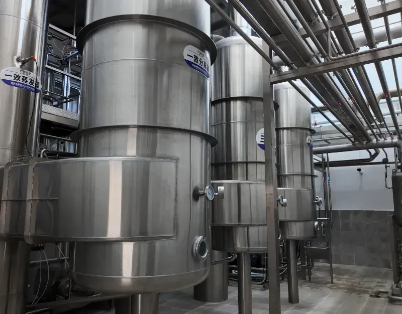 How do buyers evaluate a camel milk powder manufacturer before placing a bulk order?