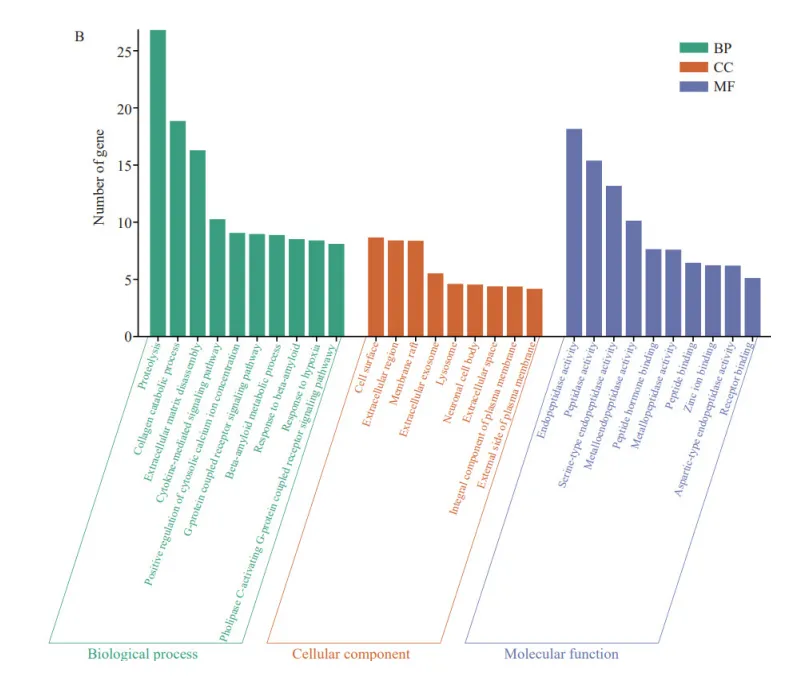 Camel Milk Lactoferrin DPP-IV Inhibitory Peptide: Screening, Validation, and Potential Mechanisms in Diabetes Prevention and Treatment (2023)