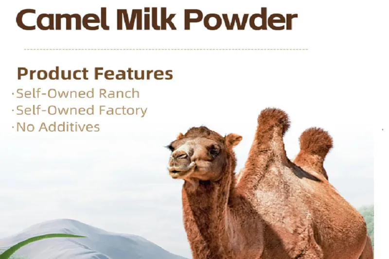 Camel Milk Powder Benefits: Nutrition & Health Advantages