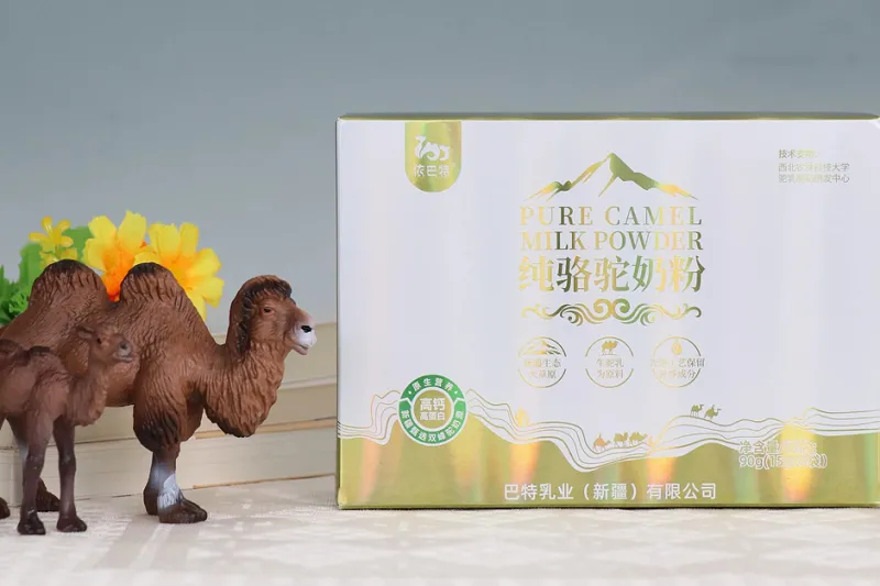 Why Camel Milk Is the "White Gold of the Desert"