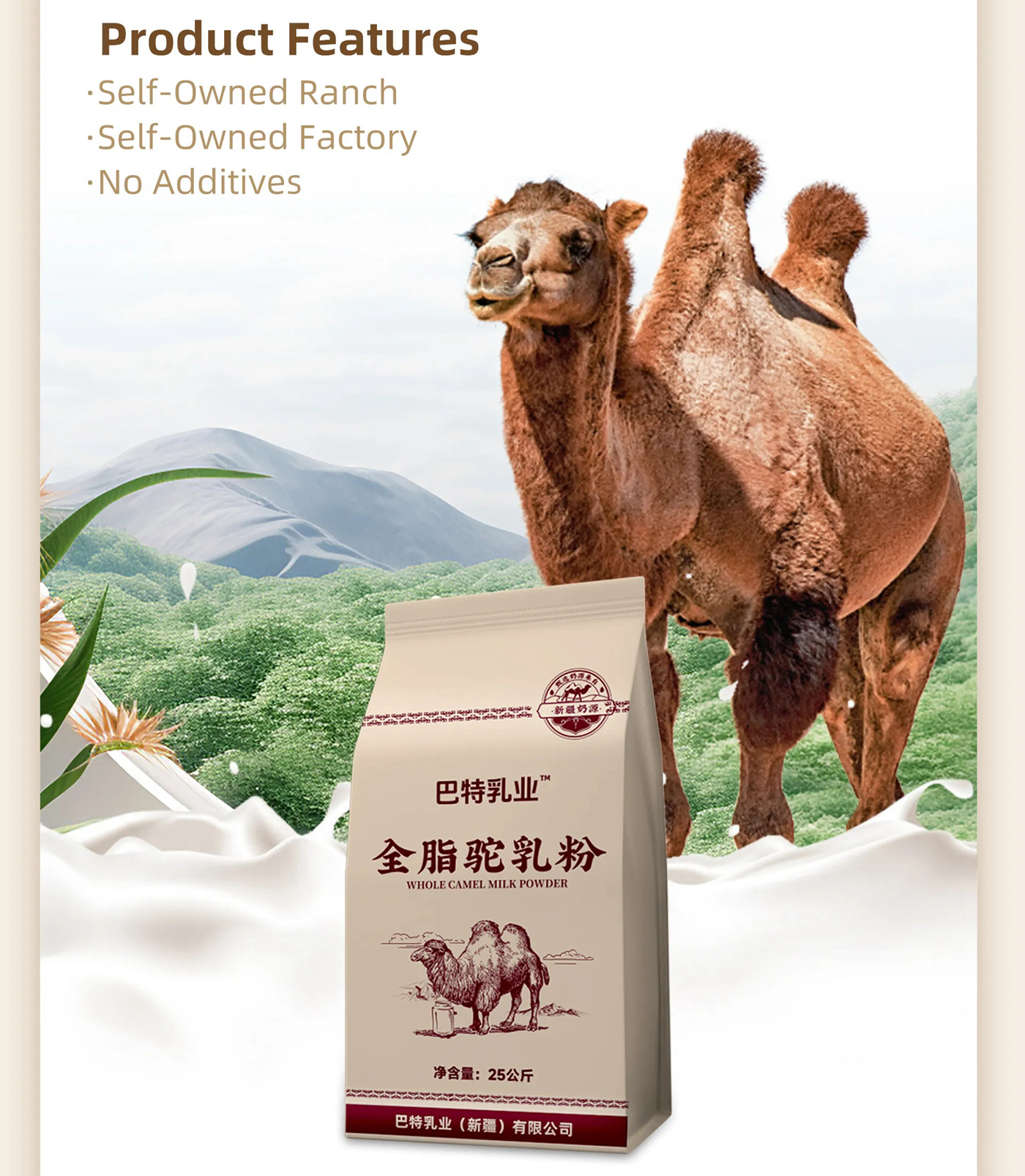 Whole Camel Milk powder