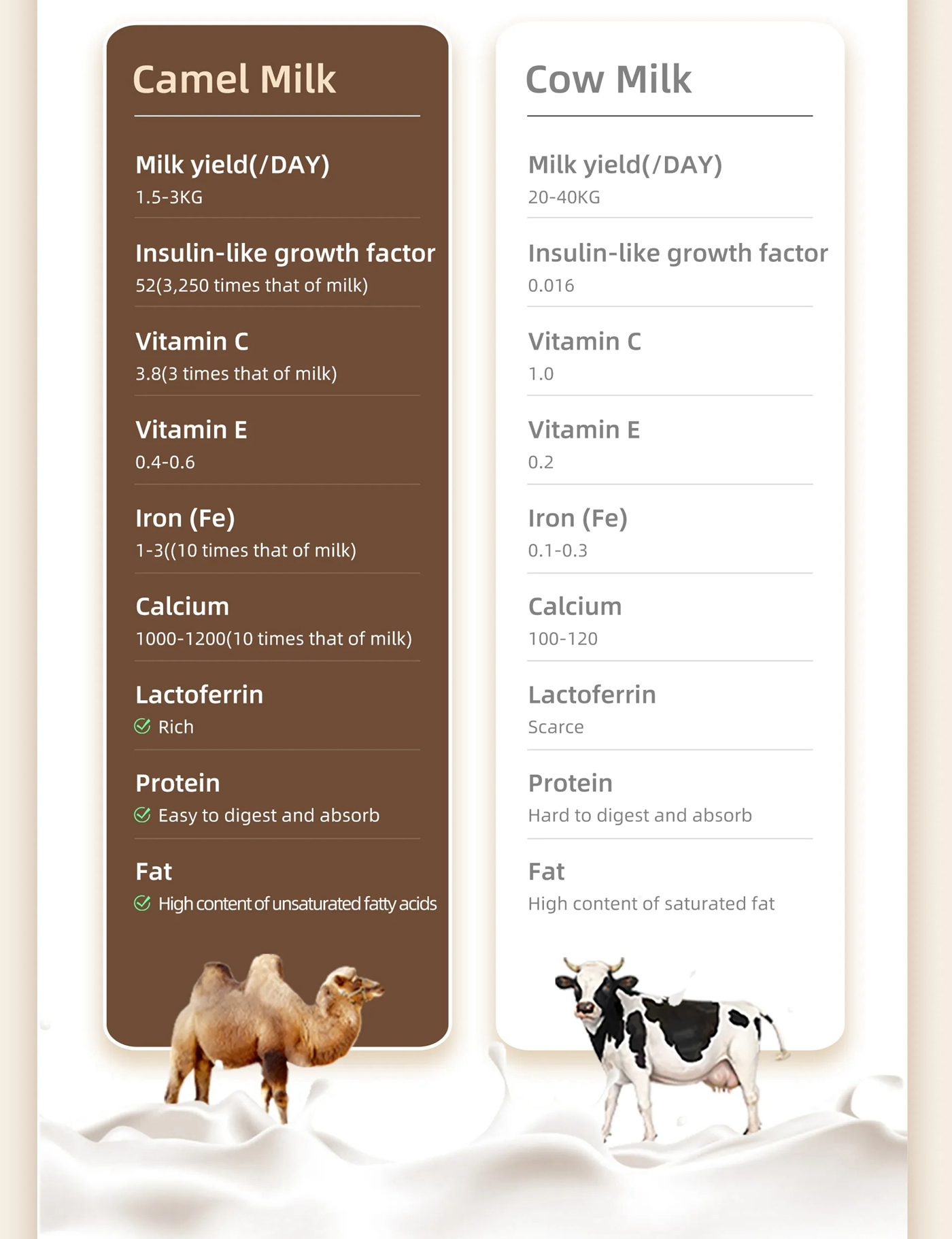 Organic Pure Camel Milk Powder