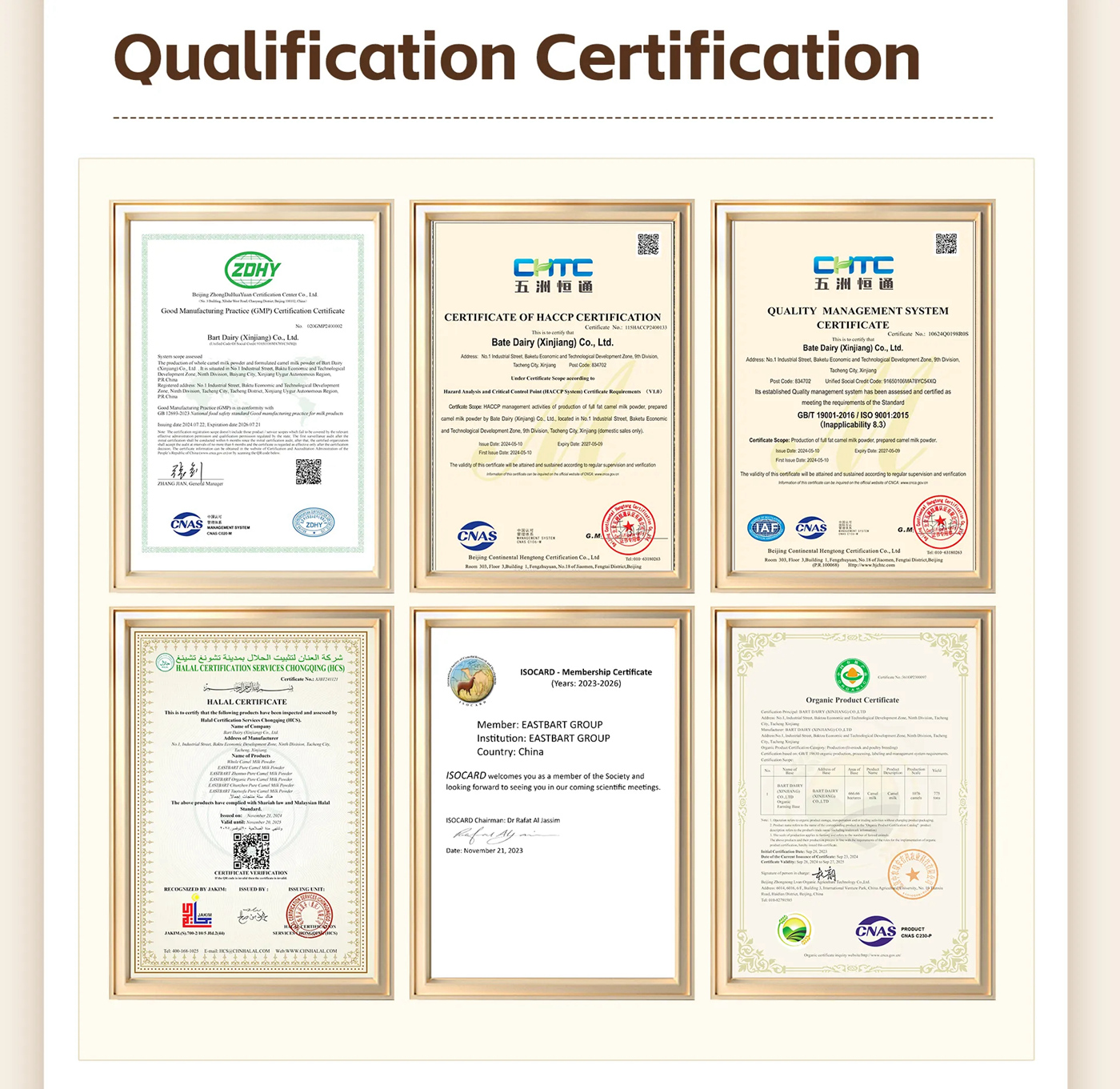 Zhentuo Lactoferrin Camel Milk Powder