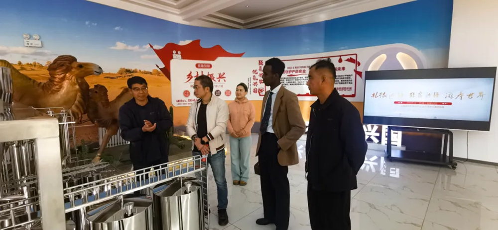 Camel bells echo, mountains and seas travel together | Somali customers visit Bart Dairy for inspection and exchange