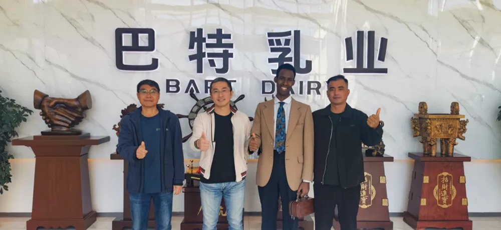 Camel bells echo, mountains and seas travel together | Somali customers visit Bart Dairy for inspection and exchange