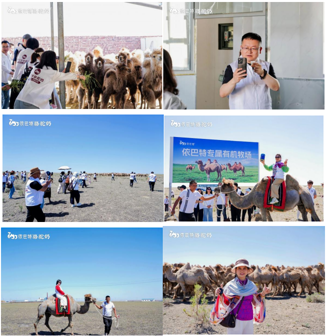Embark on a New Journey, Trace Origins in Xinjiang | Full Recap of Yibate’s 2026 Tacheng Source-Tracing Tour in Xinjiang