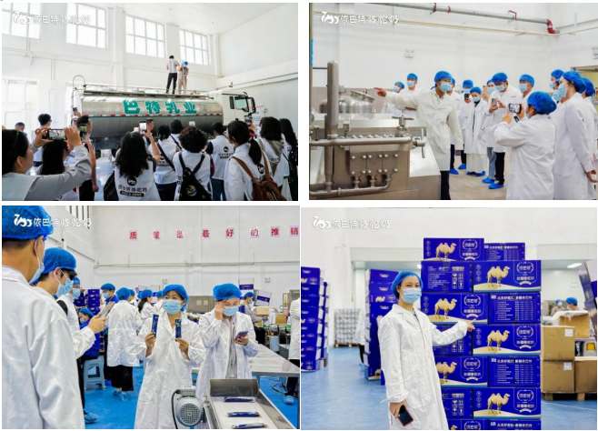 Embark on a New Journey, Trace Origins in Xinjiang | Full Recap of Yibate’s 2026 Tacheng Source-Tracing Tour in Xinjiang