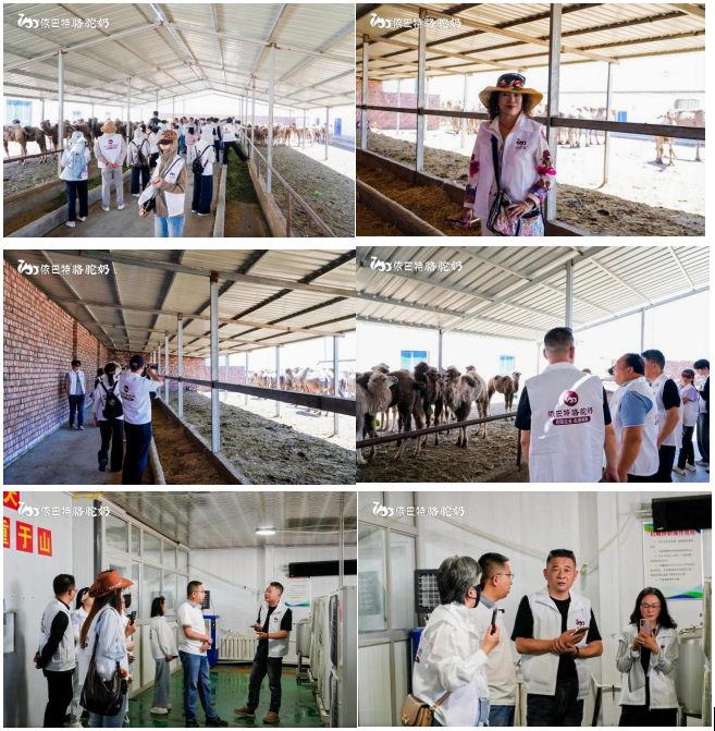 From Pasture to Camel Milk: This Source-Tracing Tour Brings Us Closer to Purity