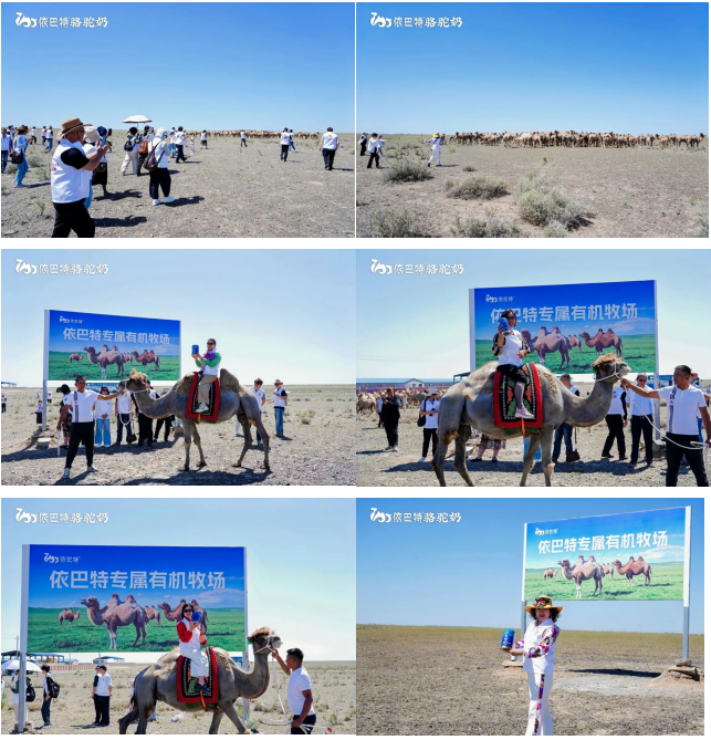 From Pasture to Camel Milk: This Source-Tracing Tour Brings Us Closer to Purity