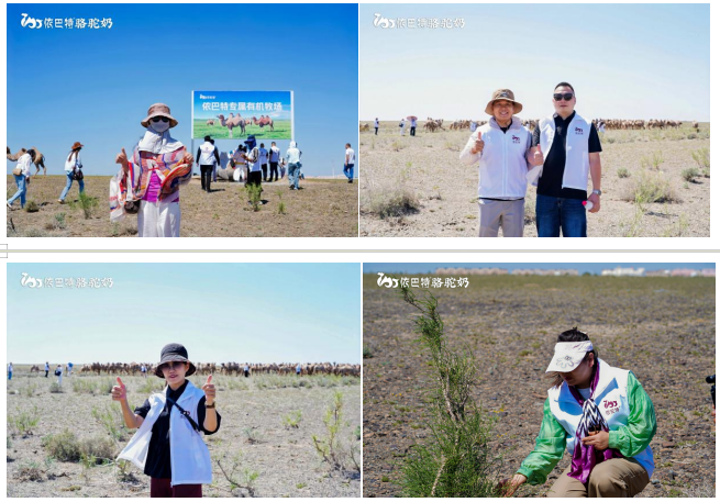 From Pasture to Camel Milk: This Source-Tracing Tour Brings Us Closer to Purity