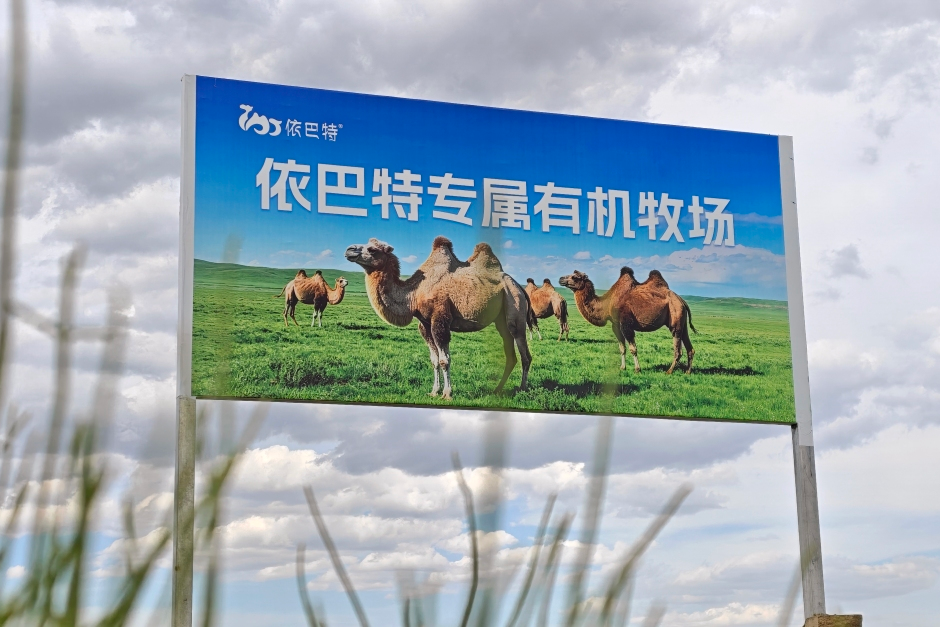 At the Expo | Encounter Xinjiang Organic Camel Milk at Organic Moments Asia