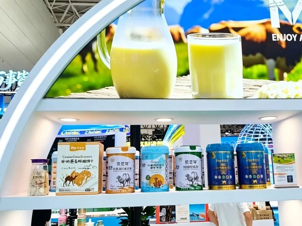 The 9th China-Eurasia Expo | YIBAT Debuts at the XPCC Experience Zone, Showcasing the Strength of Xinjiang’s Specialty Dairy Industry